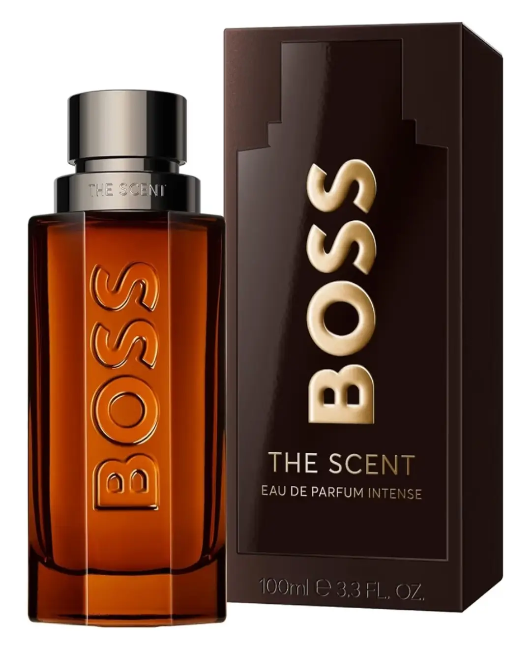 Hugo Boss The Scent perfume masculino